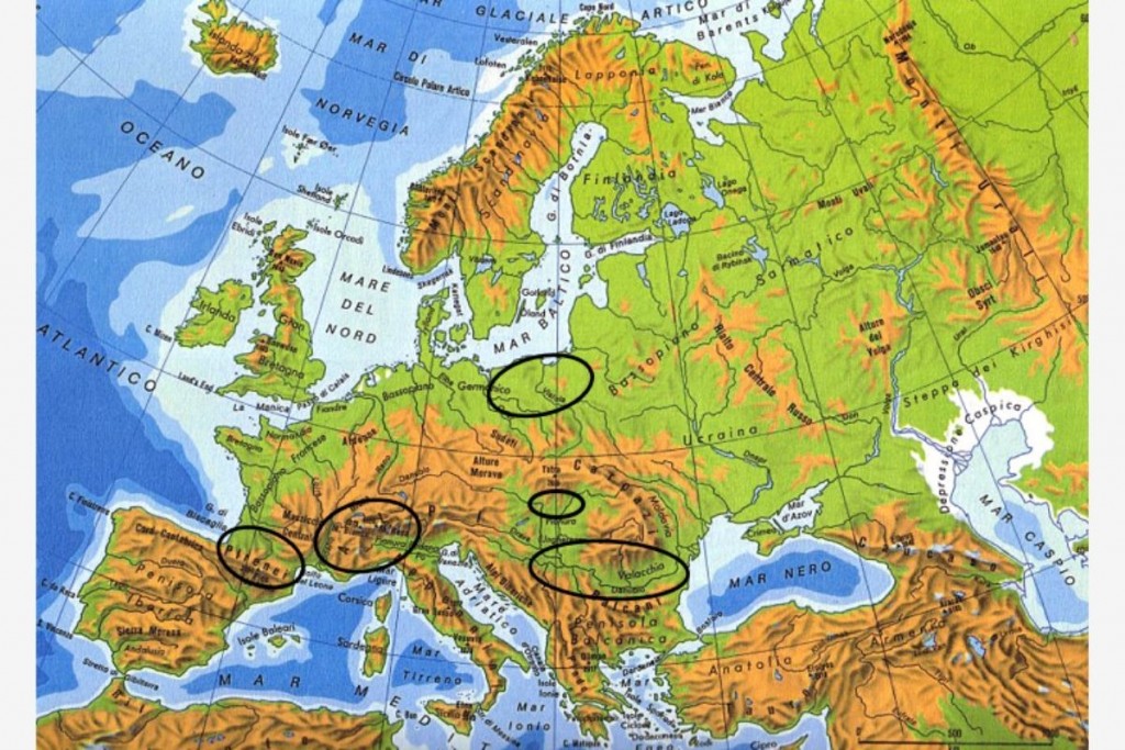 Raccolta di semi della specie Nigra in Europa